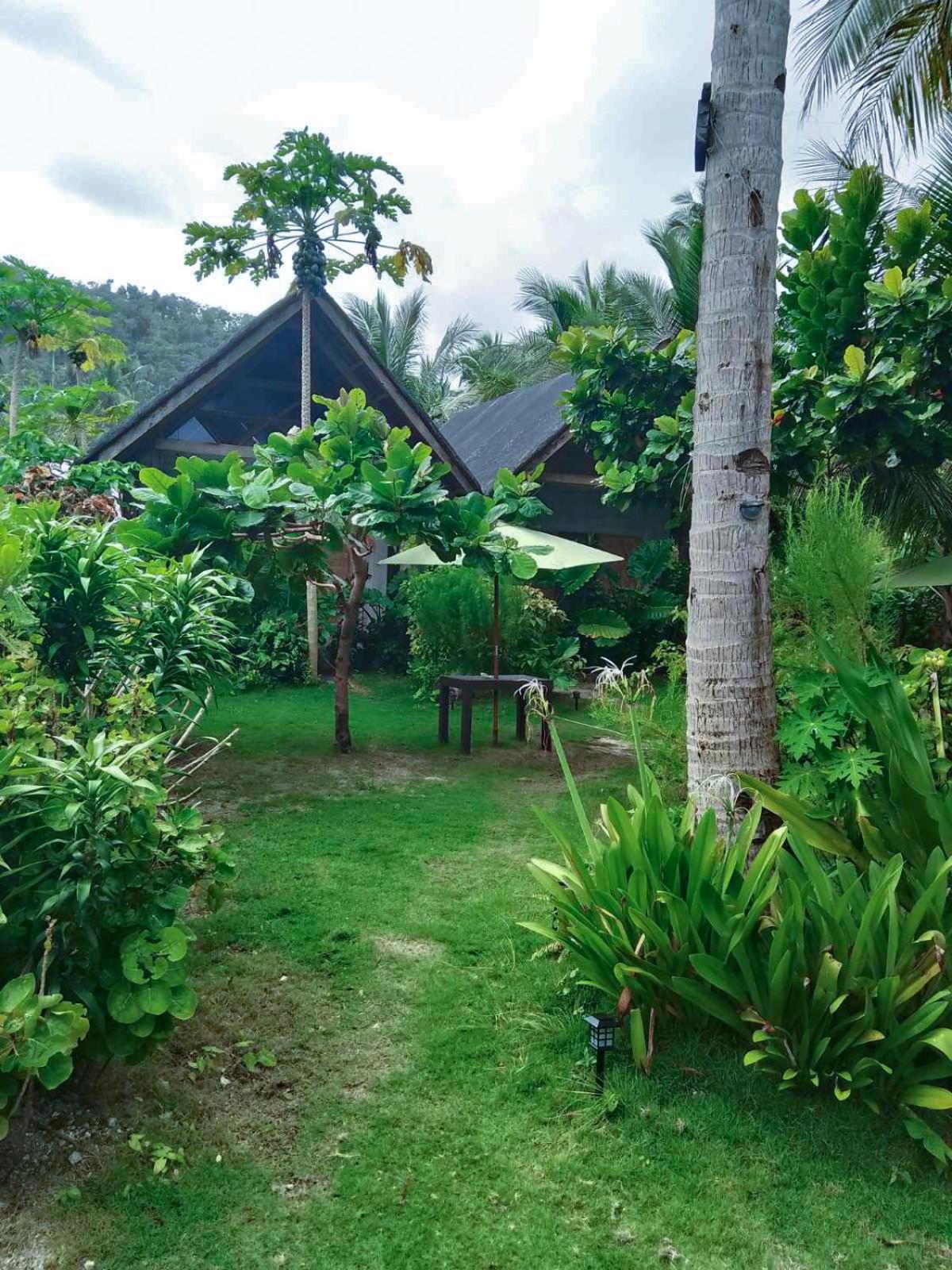Bed and Breakfast Coleto Siargao San Isidro  Экстерьер фото