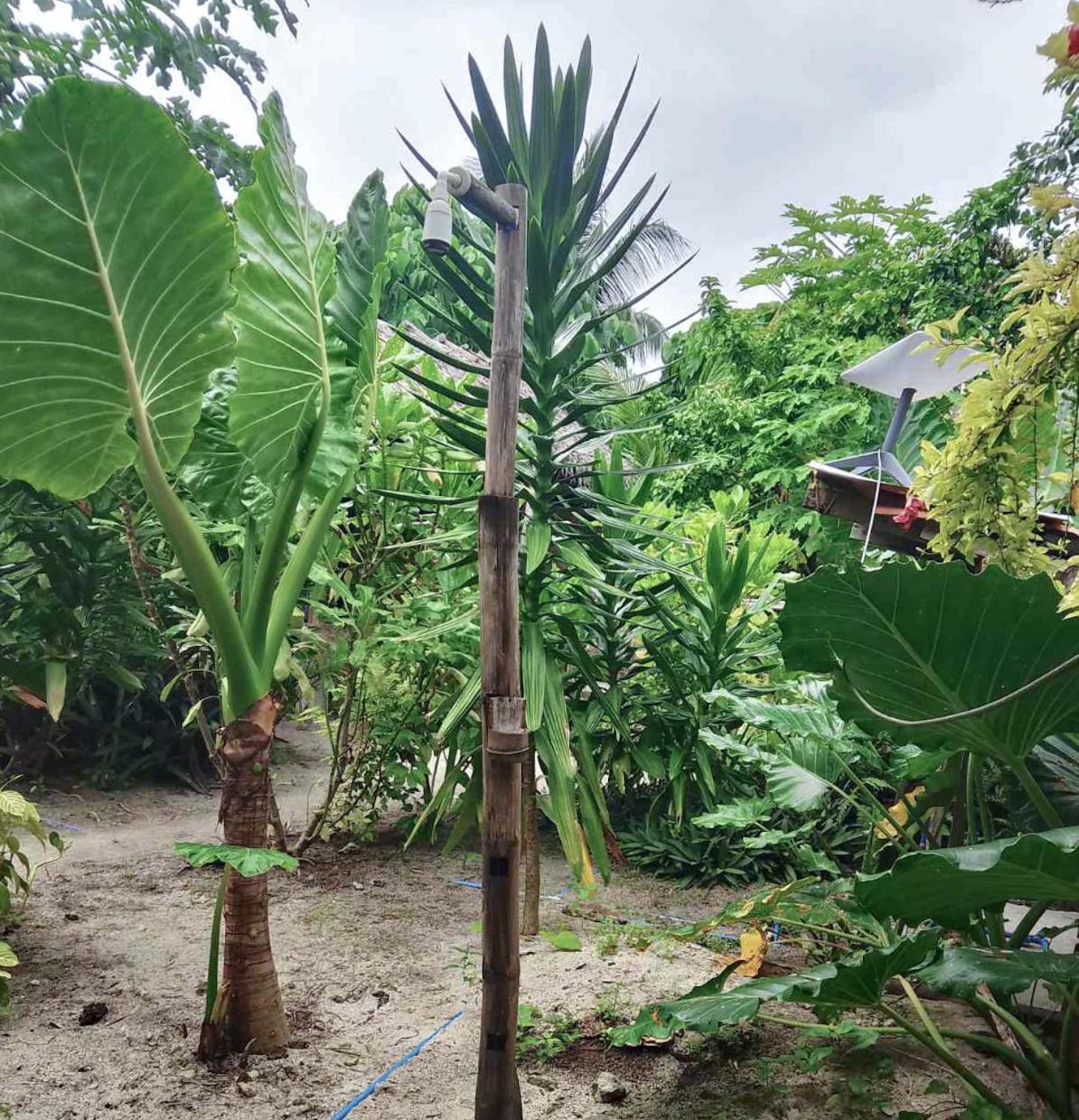 Bed and Breakfast Coleto Siargao San Isidro  Экстерьер фото