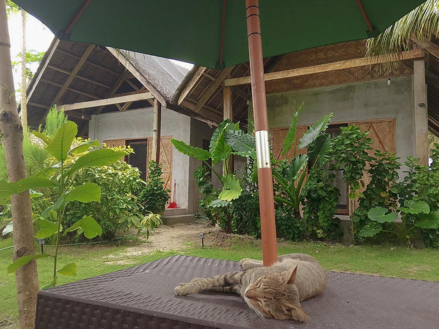 Bed and Breakfast Coleto Siargao San Isidro  Экстерьер фото