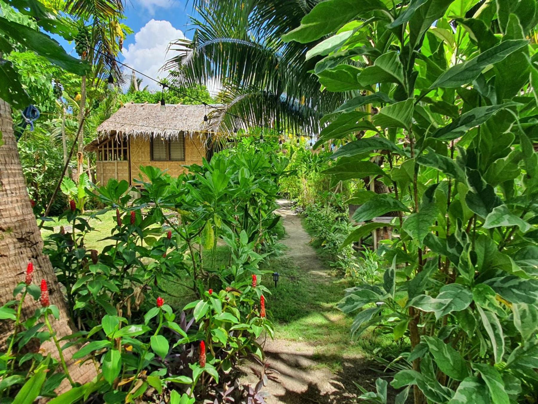 Bed and Breakfast Coleto Siargao San Isidro  Экстерьер фото