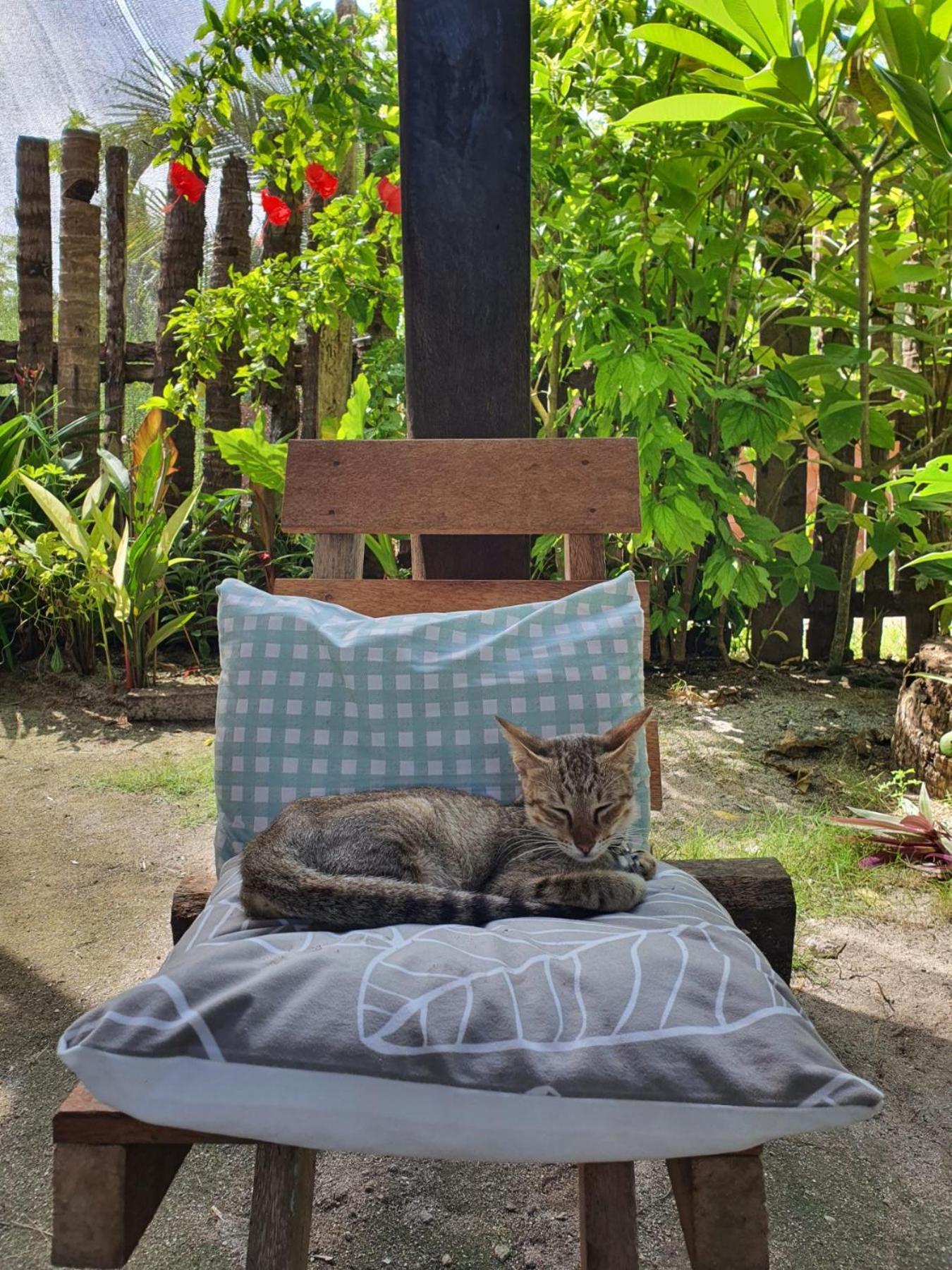 Bed and Breakfast Coleto Siargao San Isidro  Экстерьер фото