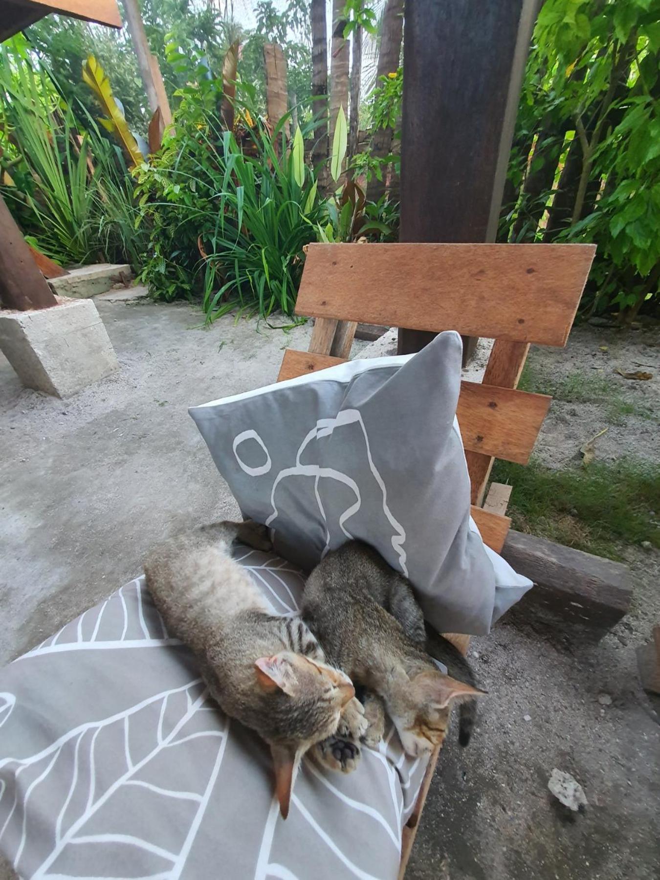 Bed and Breakfast Coleto Siargao San Isidro  Экстерьер фото